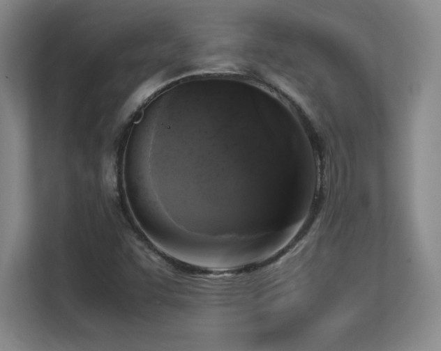 X0000113251455200909101419