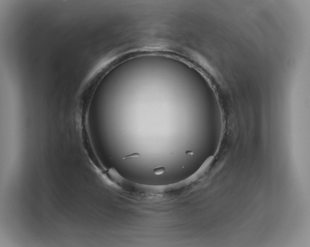 X0000113251456200909101419