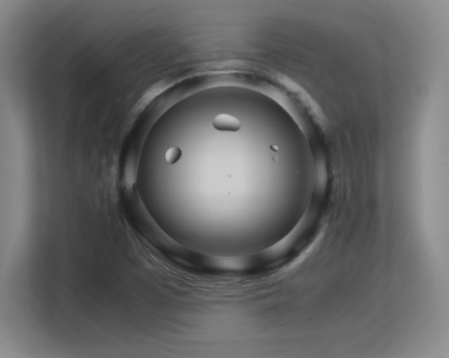 X0000113251457200909101419