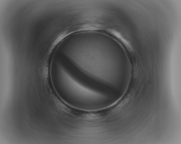 X0000113251459200909101418
