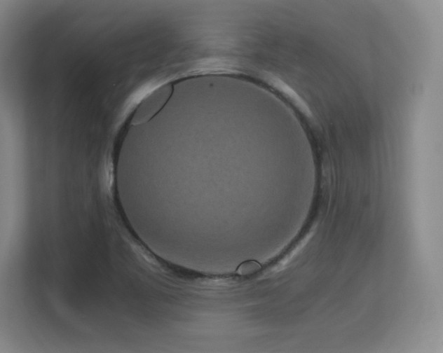 X0000113251461200909101418