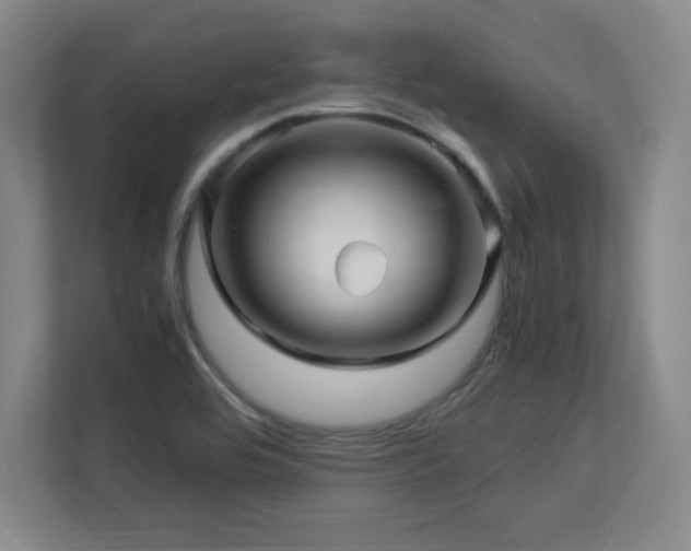 X0000113251464200909101418