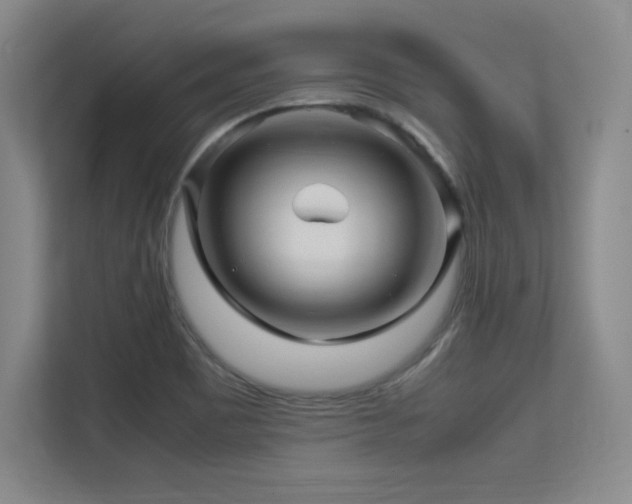 X0000113251465200909101418