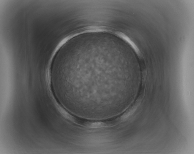 X0000113251467200909101418