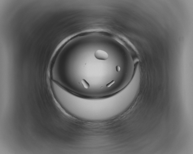 X0000113251468200909101418