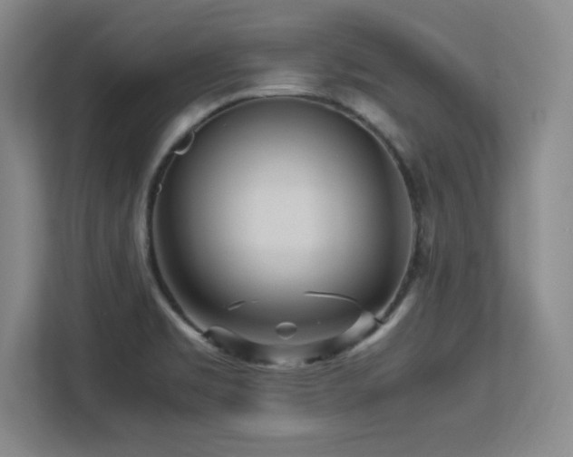 X0000113251469200909101418