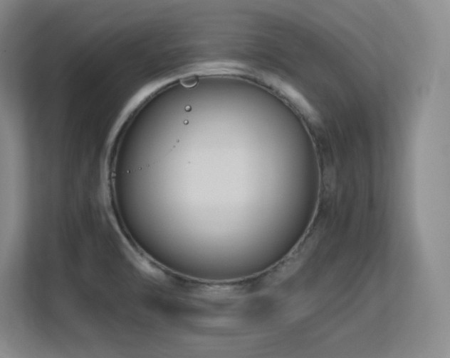 X0000113251470200909101418