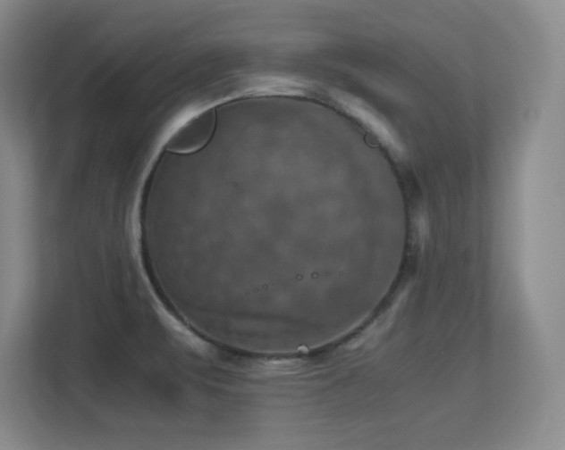 X0000113251471200909101418