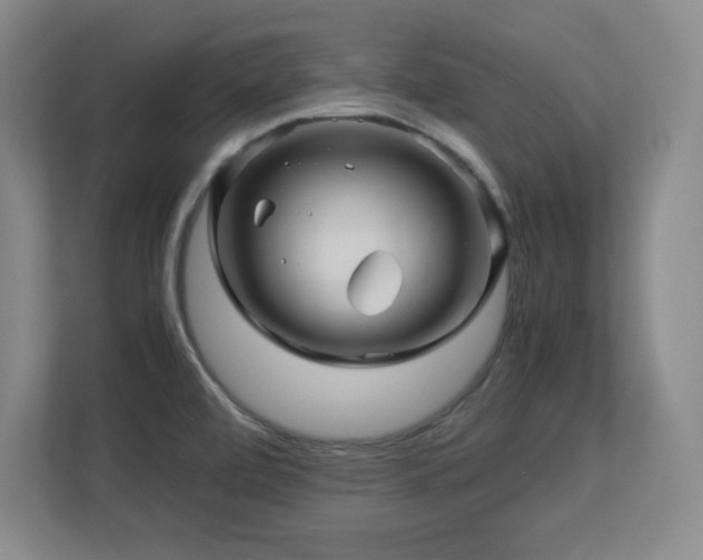 X0000113251472200909101418