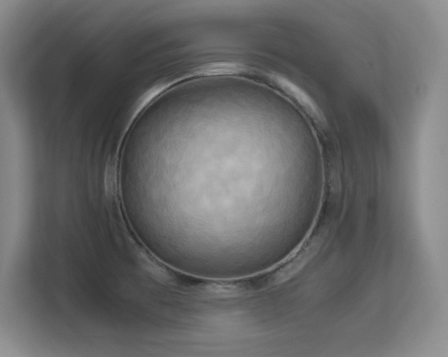 X0000113251473200909101418