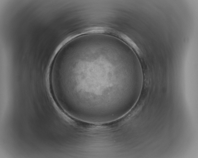 X0000113251475200909101418