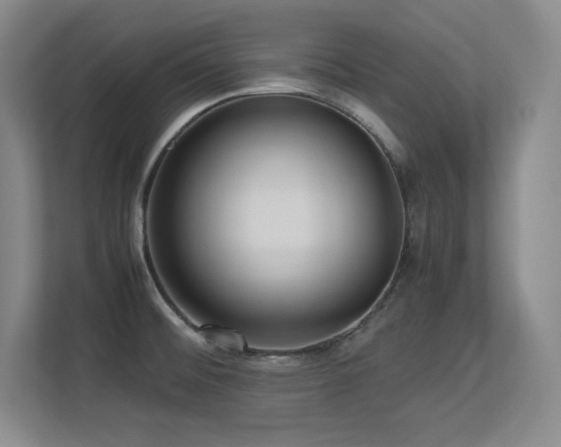 X0000113251476200909101418
