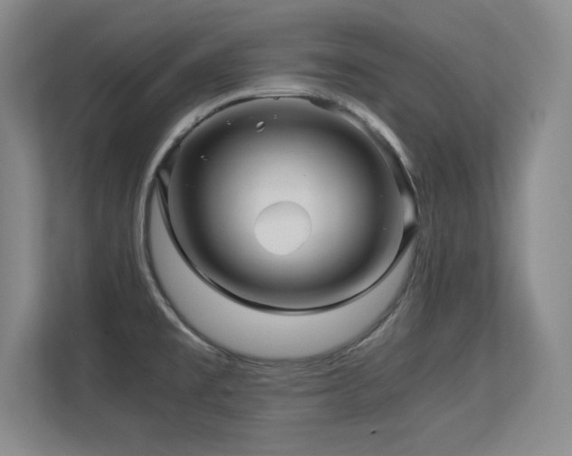 X0000113251477200909101418