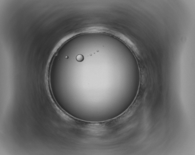 X0000113251478200909101418