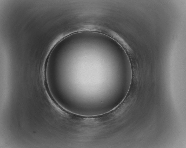 X0000113251479200909101418