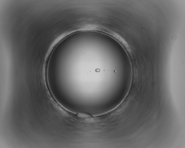 X0000113251480200909101418