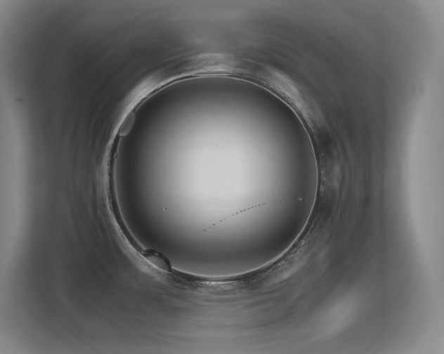 X0000113251483200909101418