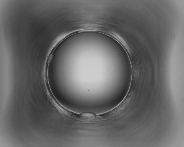 X0000113251485200909101418