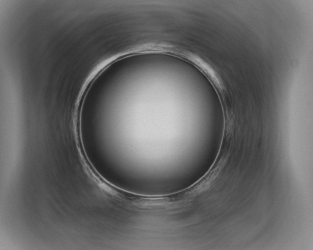 X0000113251486200909101418