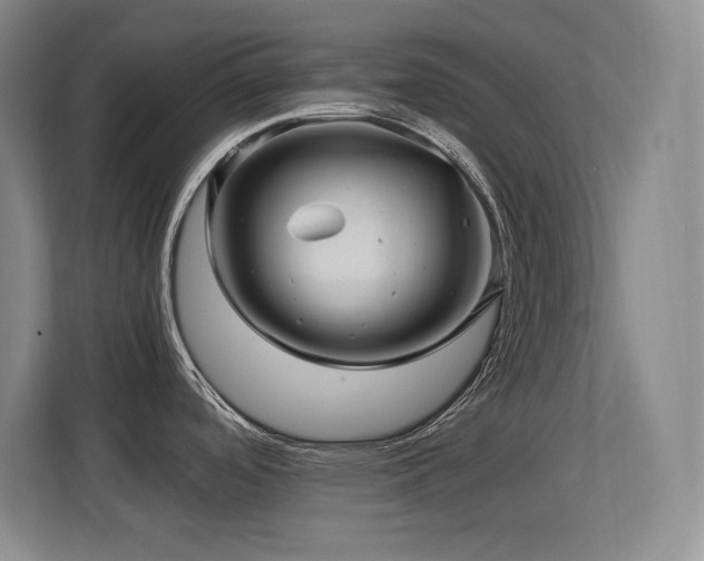 X0000113251488200909101418