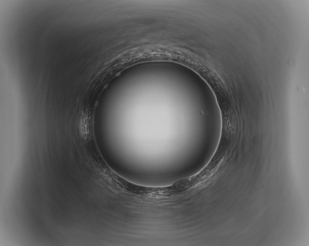X0000113251490200909101418