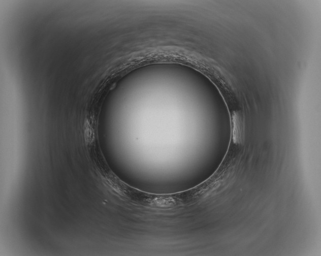 X0000113251491200909101418