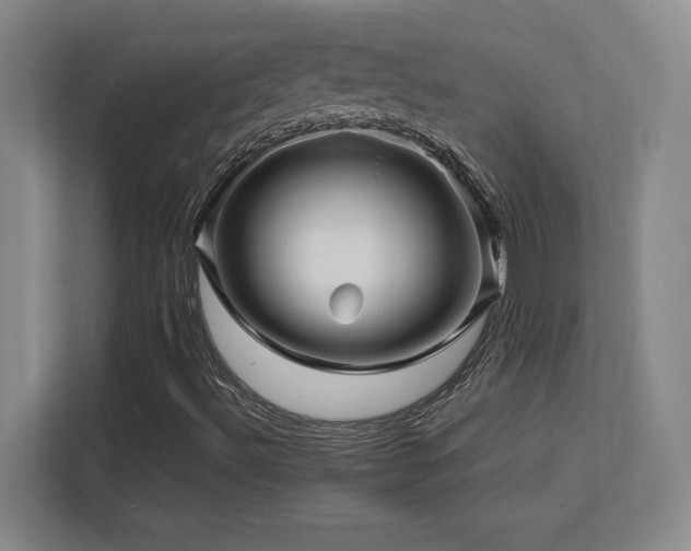 X0000113251492200909101418