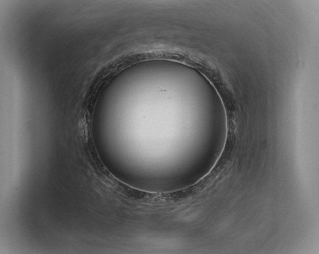 X0000113251493200909101418