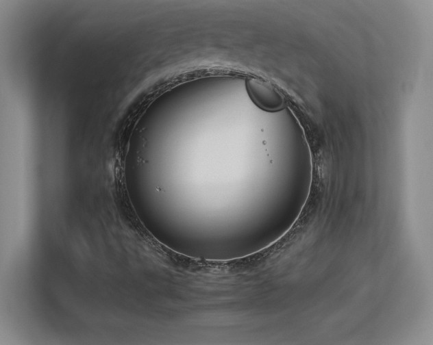 X0000113251495200909101418