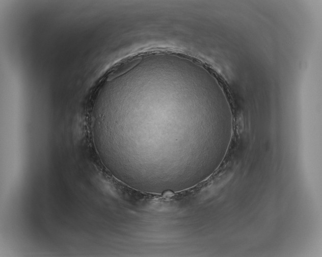 X0000113251496200909101418