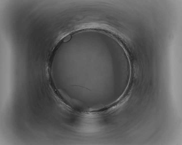 X0000113251497200909101418