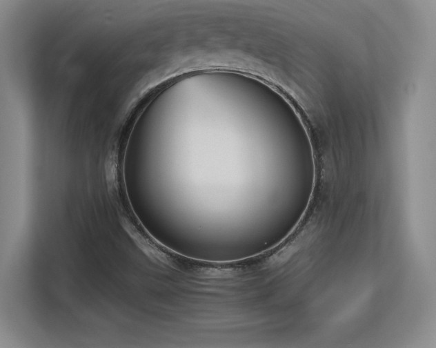 X0000113251499200909101418