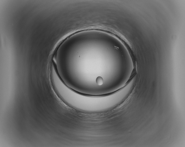 X0000113251500200909101418