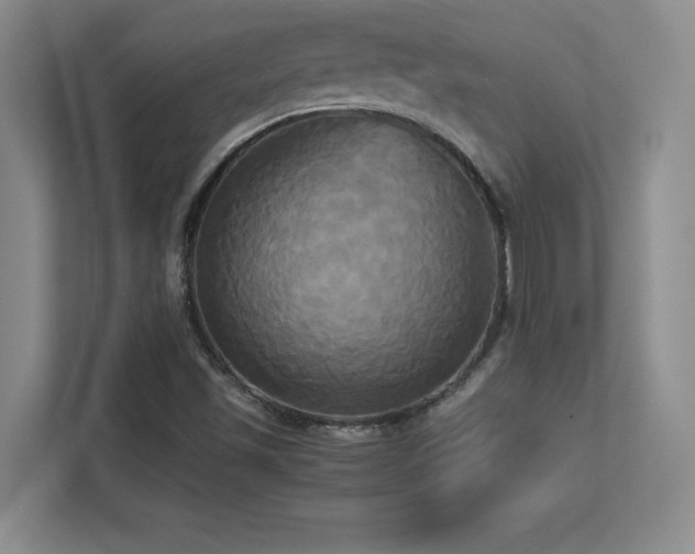 X0000113251501200909101418
