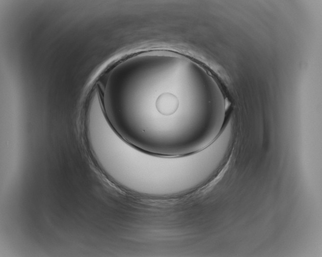 X0000113251502200909101418
