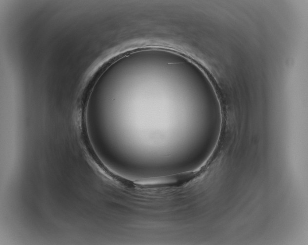 X0000113251503200909101418