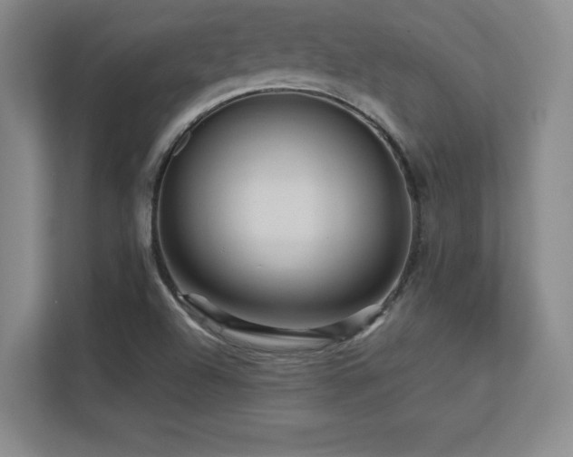 X0000113251504200909101418