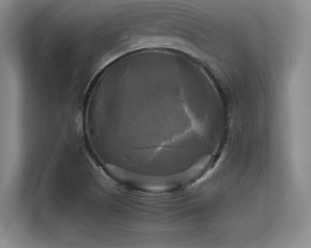 X0000113251505200909101418