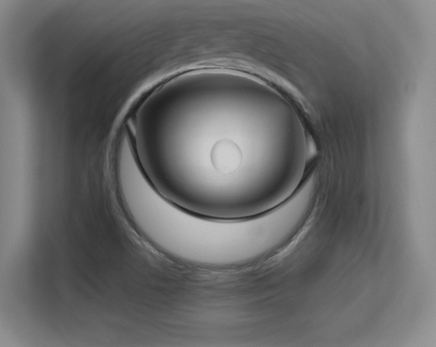 X0000113251506200909101418