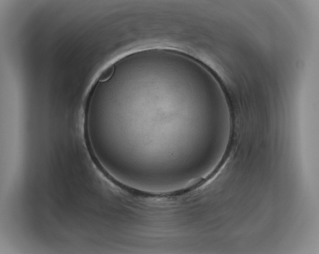 X0000113251508200909101418