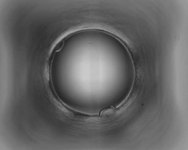 X0000113251510200909101418