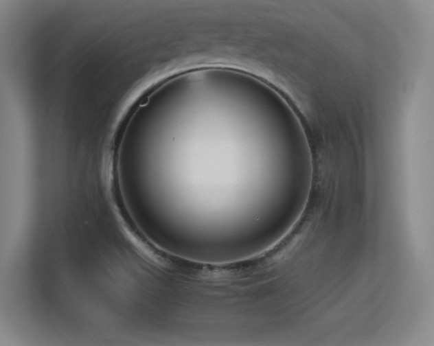 X0000113251511200909101418