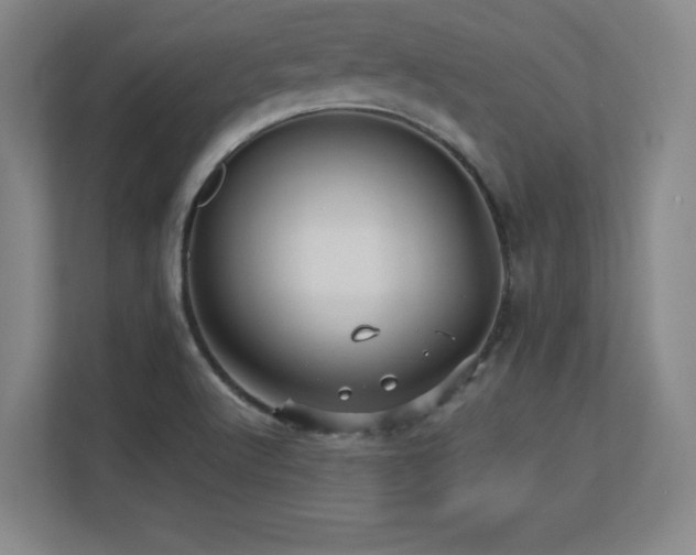 X0000113251512200909101418
