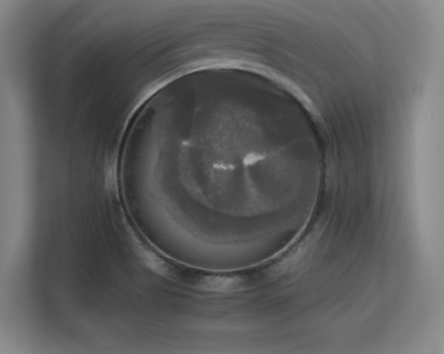 X0000113251513200909101418