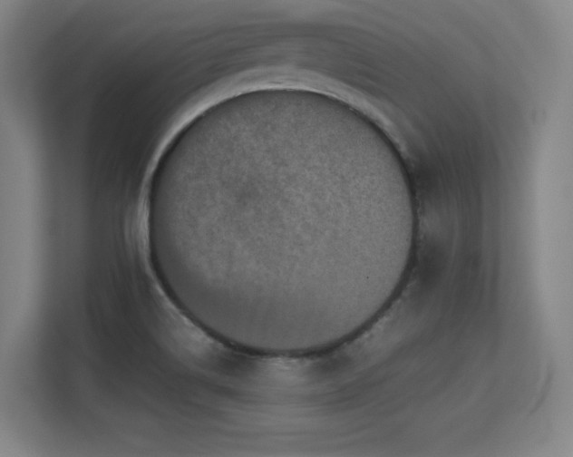 X0000113251514200909101418