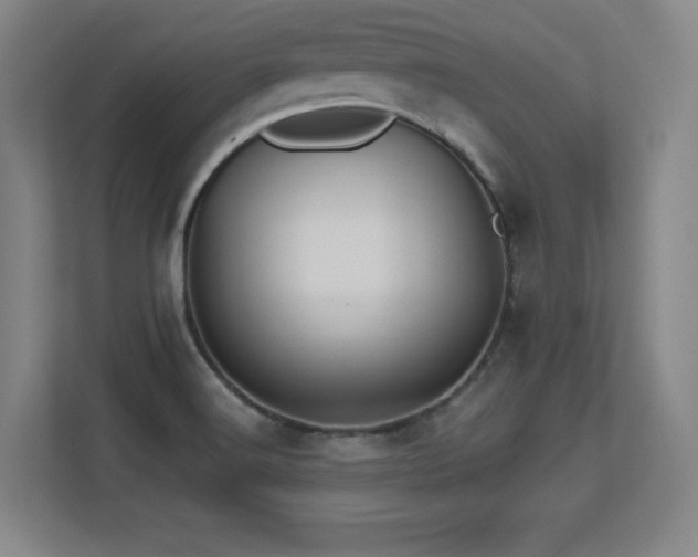 X0000113251516200909101418