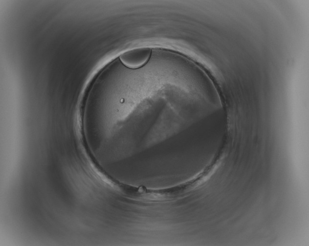 X0000113251517200909101418