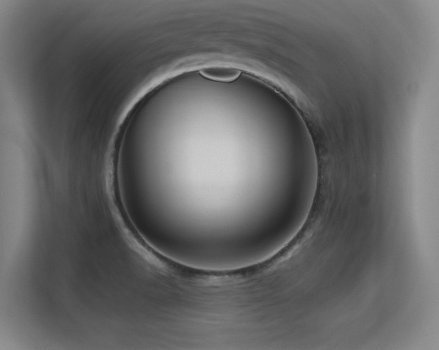 X0000113251518200909101418