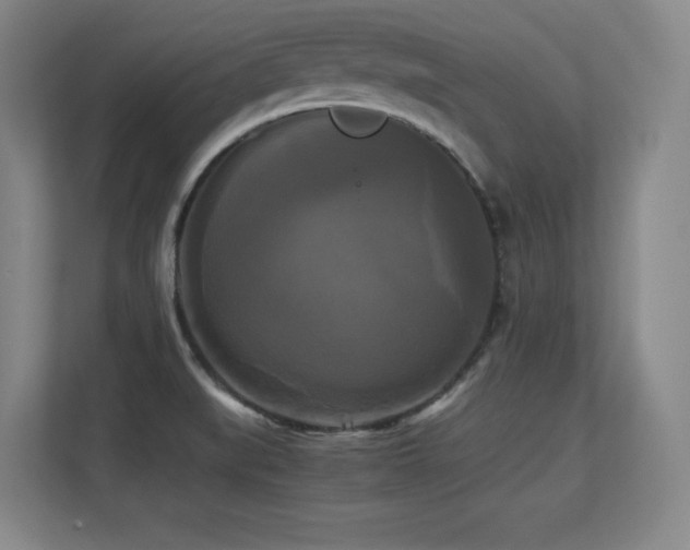X0000113251519200909101418
