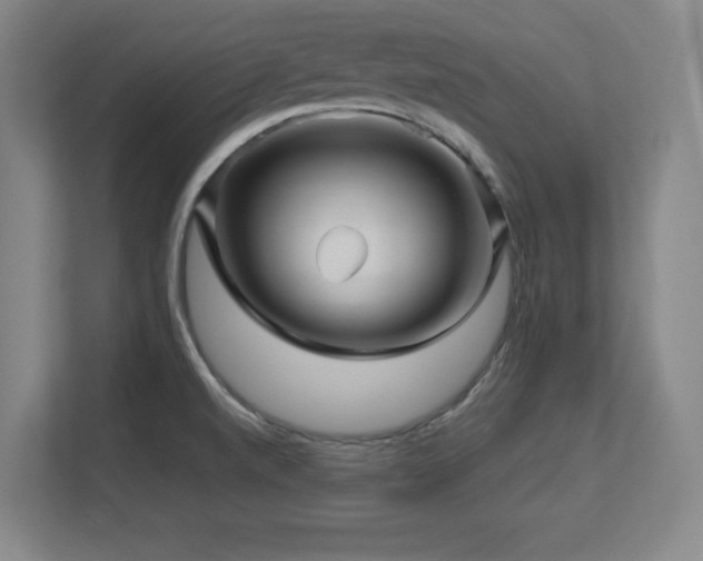 X0000113251520200909101418